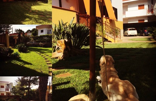 Palese Apartamento | El tulipán rojo abierto