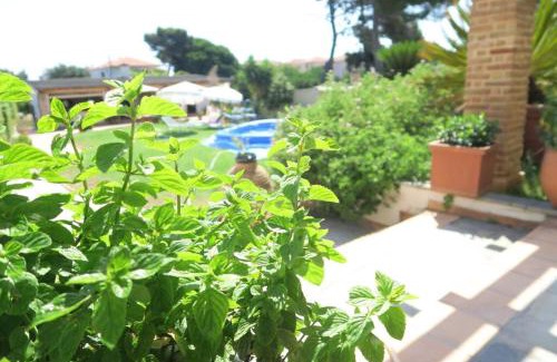 Mytikas Apartamento | The Orange Grove Garden Room