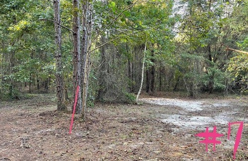 Tallahassee Alquiler De RV | THE ORCHARD disperse primitive site