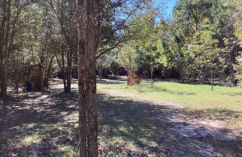 Tallahassee Alquiler De RV | THE ORCHARD disperse primitive site
