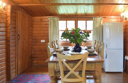 Newcastle Emlyn Cabaña | The Orchard - UK13182