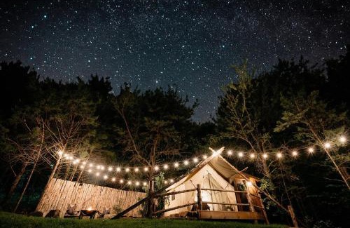 Branson Otro | The Original Campsite on 53 acres, Branson, MO