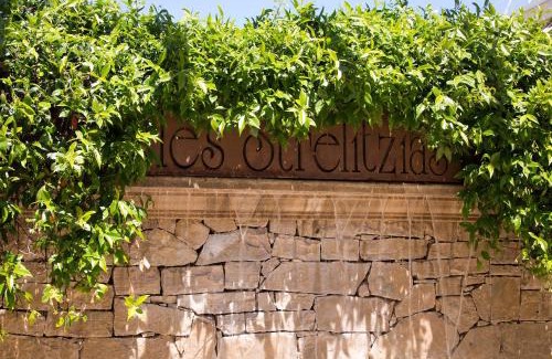 Antibes Apartamento | The Originals Résidence, Les Strélitzias