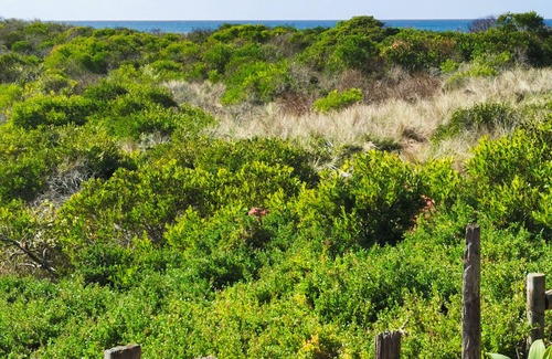 Bermagui Casa | The Outlook - Quiet and Tranquil with Lovely Views