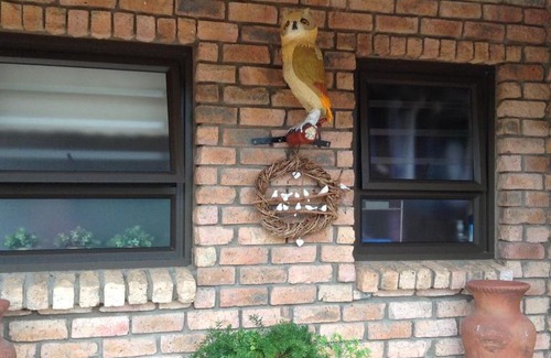 Still Bay Apartamento | The Owl House