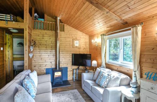 Machynlleth Casa | The Owl's Nest - Uk50546