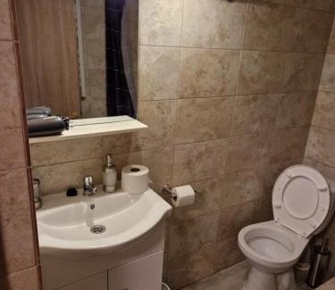 Ghimbav Apartamento | The Ozzy Room