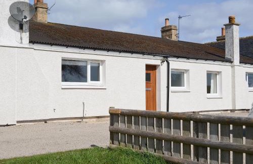 Tain Casa | The Paddock