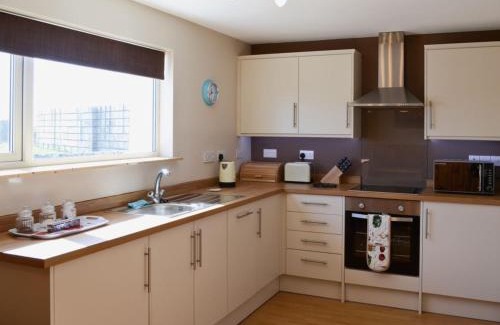 Tain Casa | The Paddock
