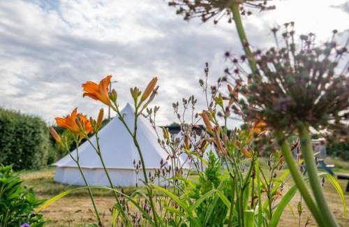 Truro Otro | The Paddock Wildcamp