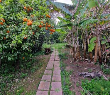 Nea Makri Casa | The Painter's Garden, Walk to Sea, Onsite Parking