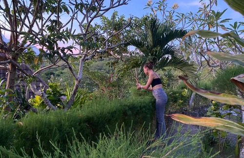 Penida Island Complejo | The Pancor Jungle Resort