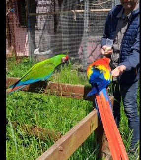 Tappernoje Apartamento | The parrot hotel, live in a rescue animal park