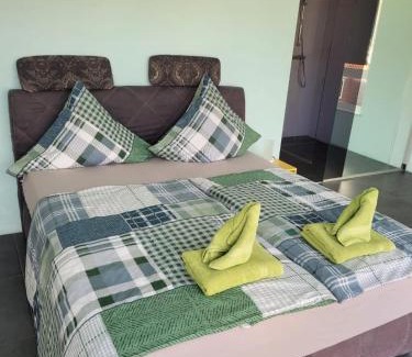 Kaiserslautern Apartamento | The Penthouse