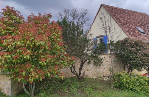 Laval Cabaña | The perfect combination of nature, local life and activities.