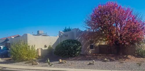 Mesilla Park Casa | The perfect place . . . here it is!