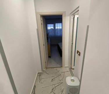 Satu Mare Apartamento | The performant