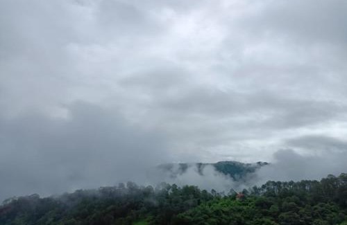 Dharampur Apartamento | The Pine Trails Kasauli I Guaranteed Best Price I Serviced Villa I Open Air Rooftop I Couple Friendly I Pvt Balcony I Kasauli By Exotic Stays