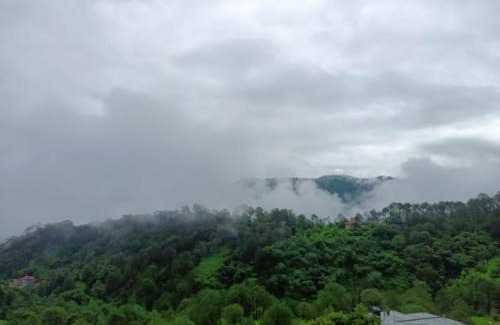 Dharampur Apartamento | The Pine Trails Kasauli I Guaranteed Best Price I Serviced Villa I Open Air Rooftop I Couple Friendly I Pvt Balcony I Kasauli By Exotic Stays