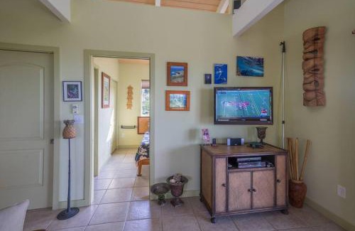 Captain Cook Casa | The Pineapple Express Hot Tub Volcano 65 Mi Away