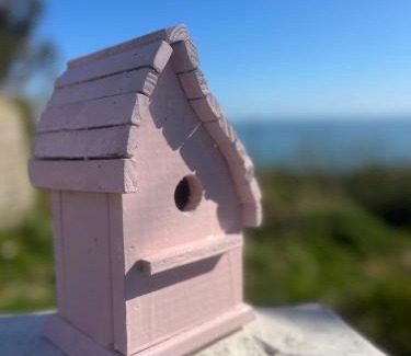 Carrickfergus Apartamento | The Pink Cottage upstairs suite & Garden Summer Room