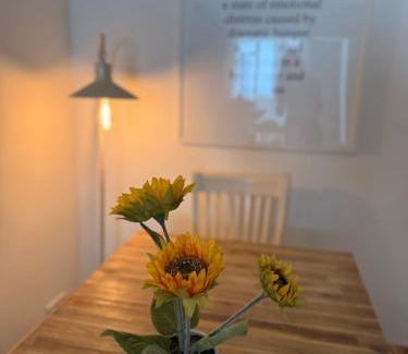 Haverstock Apartamento | The Pink House