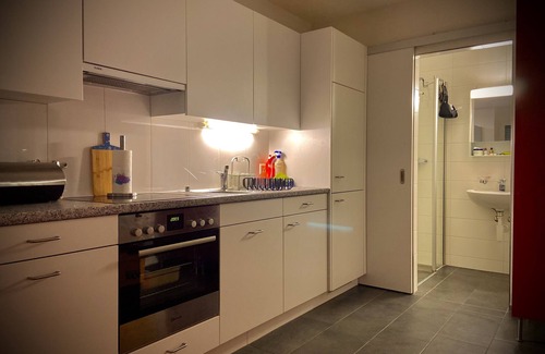 Rorschach Apartamento | The playroom on Lake Constance - kitchen - office - dining area - lounge