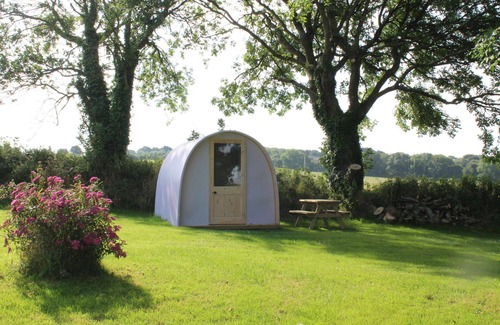 Newquay Cabina | The Pod Garden- Cozy glamping pod, rural location