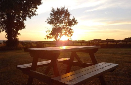 Newquay Cabina | The Pod Garden- Cozy glamping pod, rural location