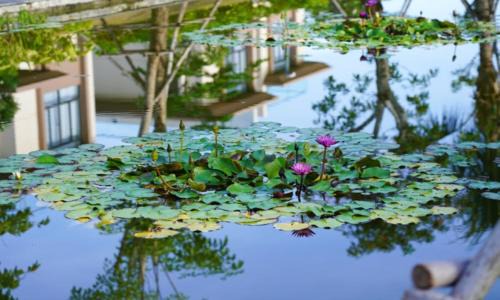 Cam Lam Complejo | The Pool Villas Cam Ranh - All Private Pool Villas