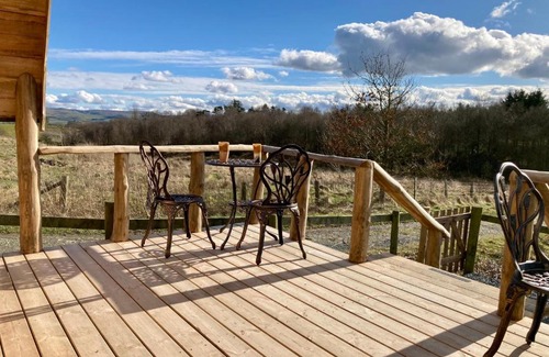 Bontnewydd Cabina | The Prancing Moose