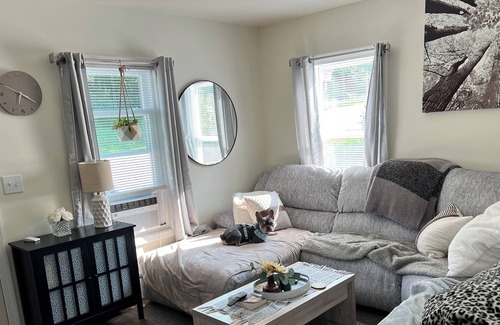 Proctor Casa | The Proctor Escape