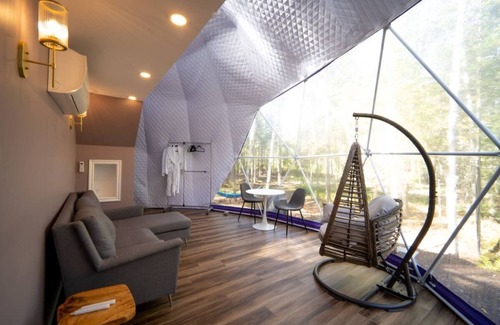 Queens County Cabina | The Purple Violet