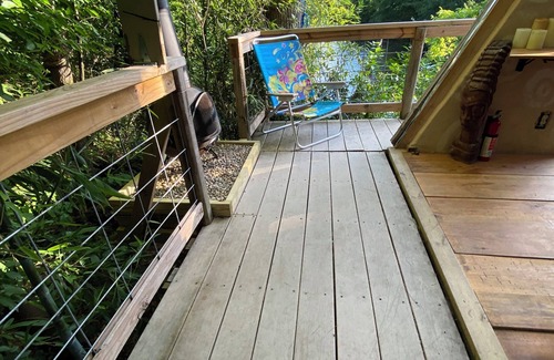 Brevard Cabina | The Quack Shack is a treehouse located along the banks of The French Broad River