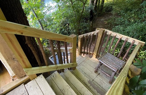 Brevard Cabina | The Quack Shack is a treehouse located along the banks of The French Broad River