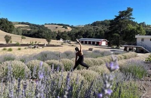 Paso Robles Casa | Elegant Vintage Barn quiet country charm. Walk to wineries, minutes to town.