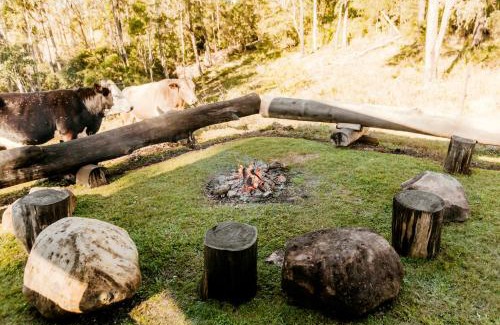 Clothiers Creek Casa | The Ranch Cabarita Beach - Tiny Home