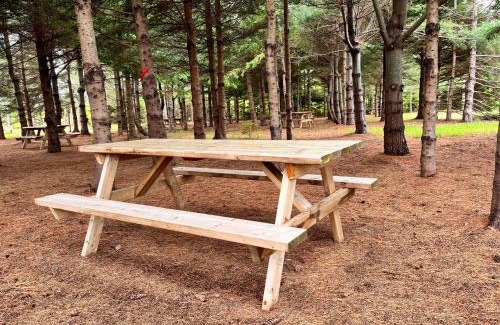 Brackley Beach Otro | The Red Fox Campground