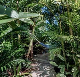 Noosa Heads Casa | The Rest - Stunning Noosa Family Beach Cottage With Heated Pool