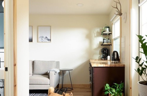 Greentown Cabina | The Rex Hotel