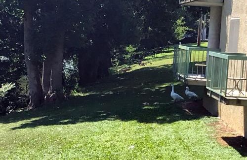Pigeon Forge Apartamento | The River Cottage