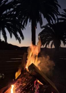 Wisemans Ferry Complejo | The Riverstay Retreat