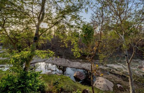 Turiya Complejo | The Riverwood Forest Retreat Pench