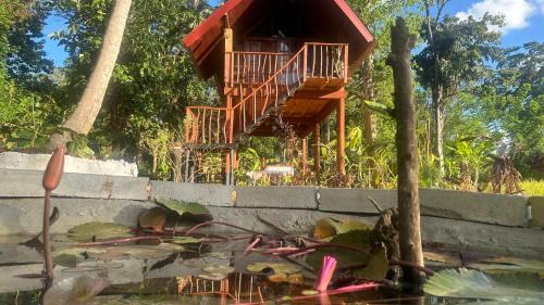 Sigiriya Cama Y Desayuno | The Rock & Paddy Resort