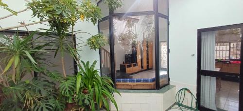 Marsaskala Apartamento | The roof garden maisonette