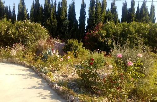 Olmedo Apartamento | The Rose Garden - An oasis of peace in the green