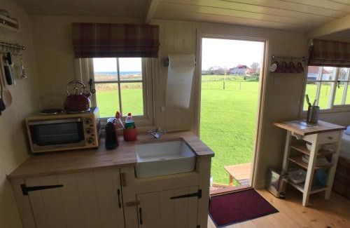 Coldingham Casa | The Rowan Shepherds Hut