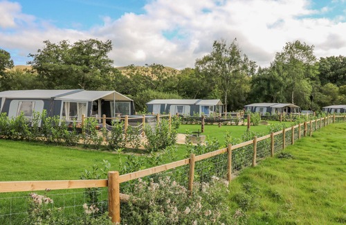 Llandrindod Wells Cabaña | The Salmon