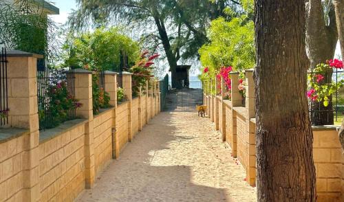 Diani Beach Apartamento | The SandCastle Apartment