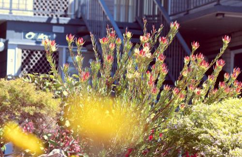 Merimbula Apartamento | The Sands Holiday Apartments